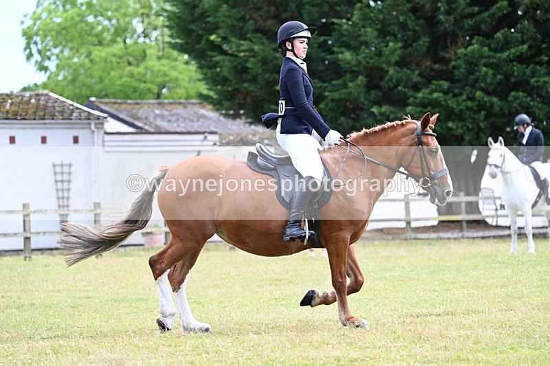 WJ7_9489 - Class 8 Ridden Veterans