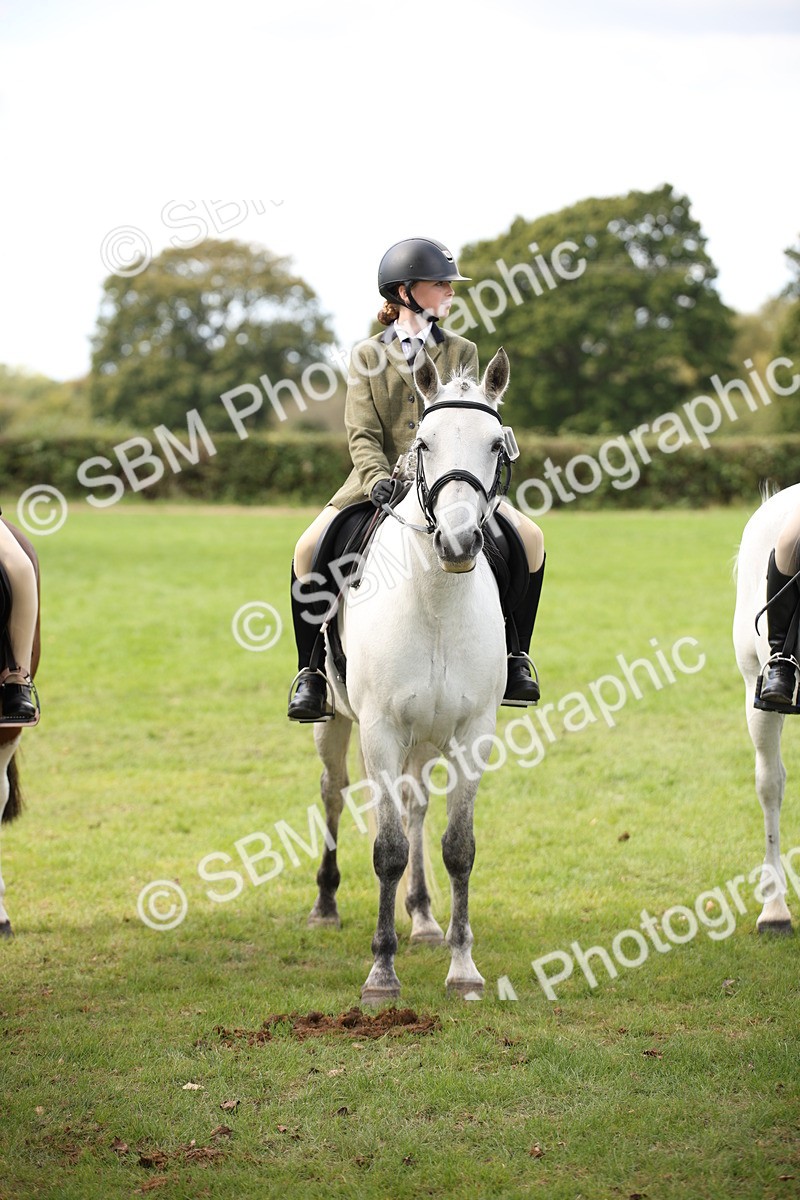 SBM_42378 - S13 - Pony Club Pony