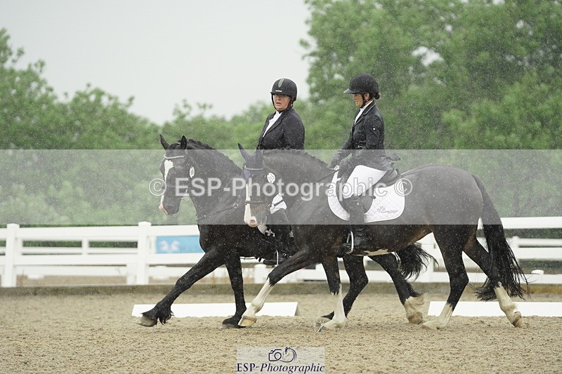 230708A-123448-00450 - BRC Pairs 5