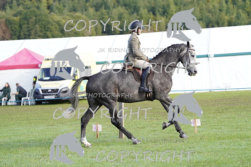 _DSC9334 - Class 8 & 17 Ridden Hunter & Ridden Hunter Pony
