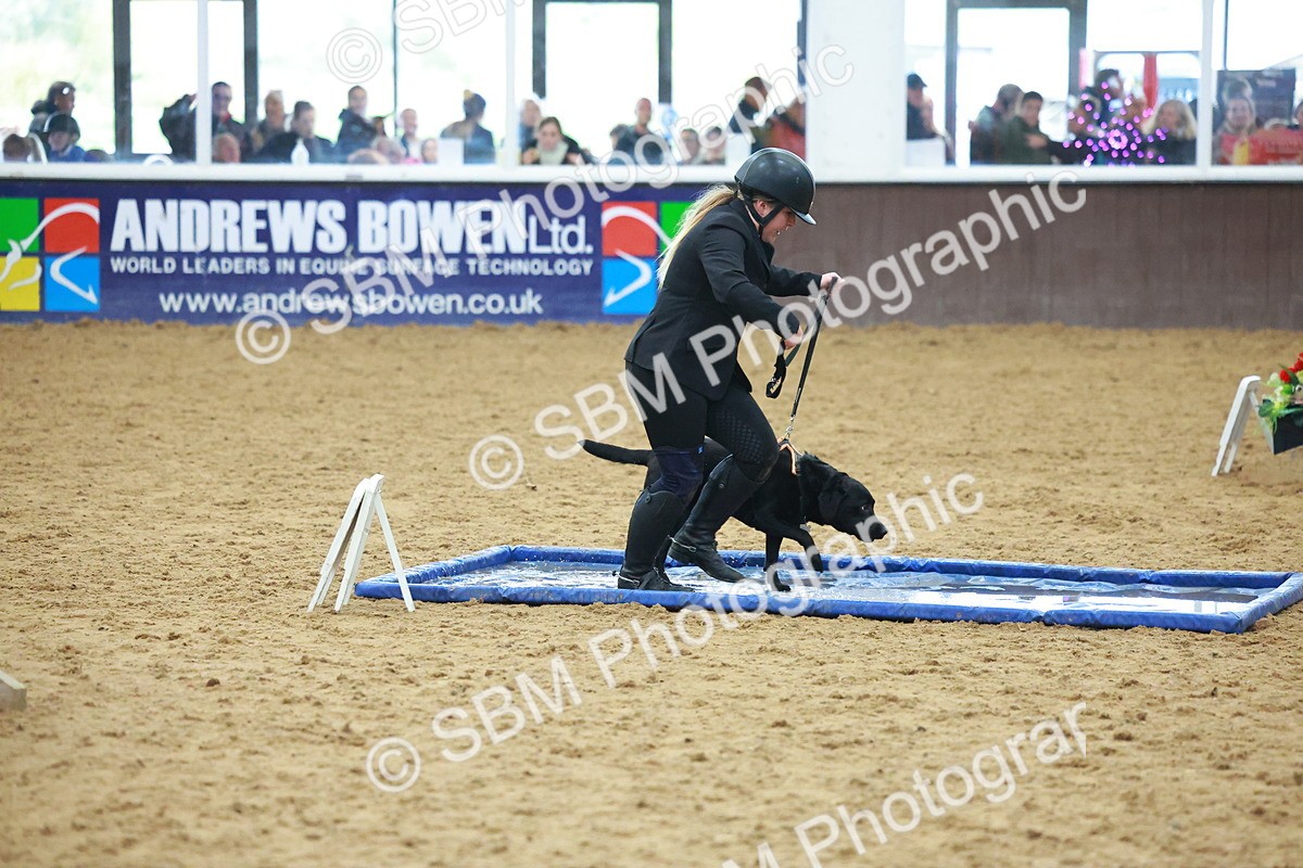 SBM_002461 - Class 3 - Horse & Hound (60cm)