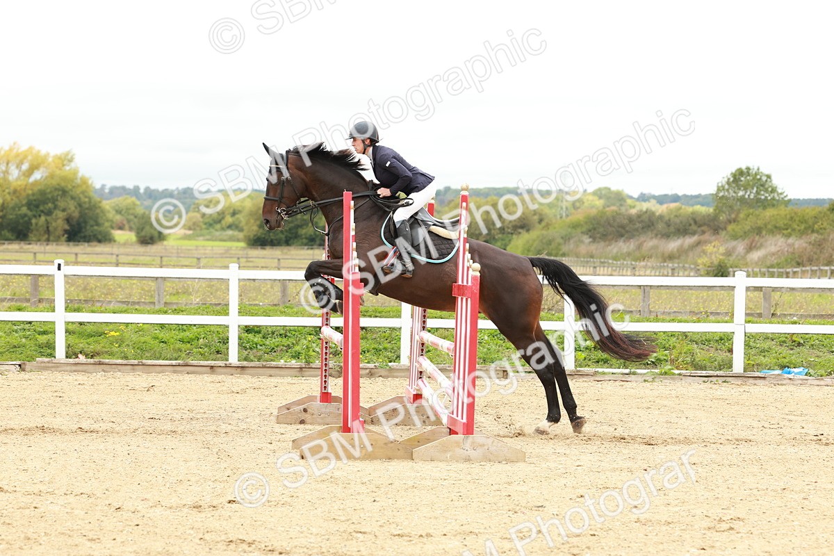 1I0A6941 - Class 2 - Senior British Novice