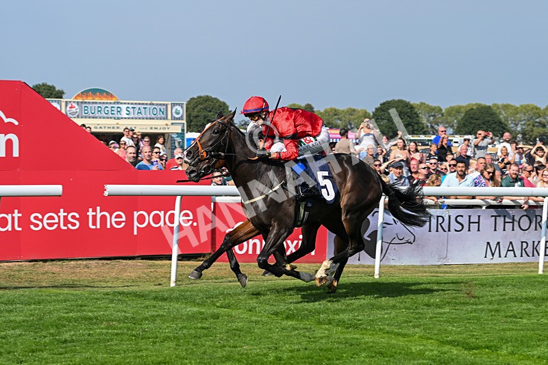 240825-Race 4-Lady Hornblower-2998 - Race 4