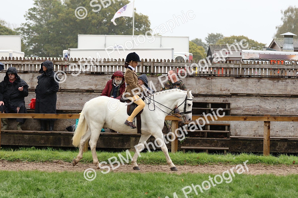 SBM_72977 - S63 Show Pony & Show Hunter Pony Ridden