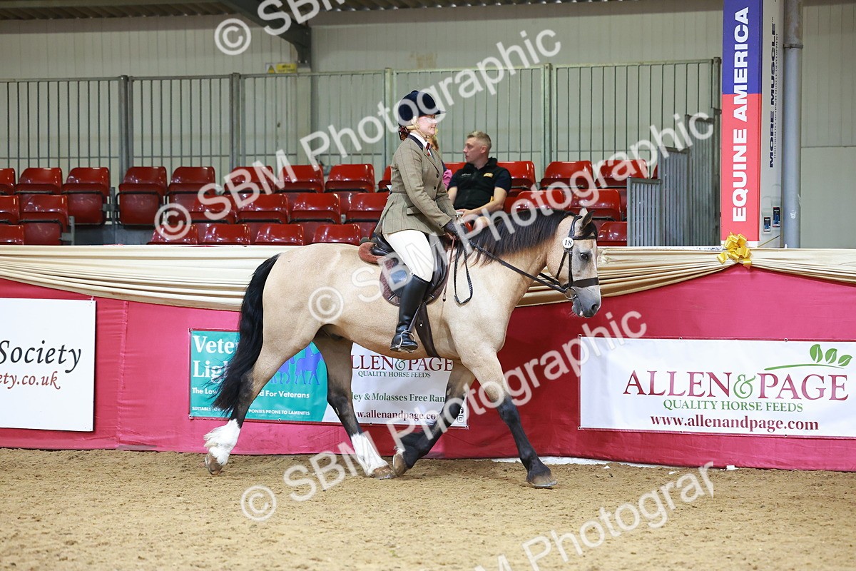 SBM_06172 - Class 12R - Ridden Pre-Vet