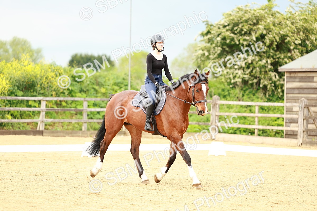 0B8A9313 - Class 5-4 - Novice 2-Prelim 3