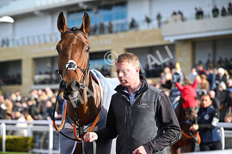 251025-Race 2-Sporting Glance-7134 - Race 2