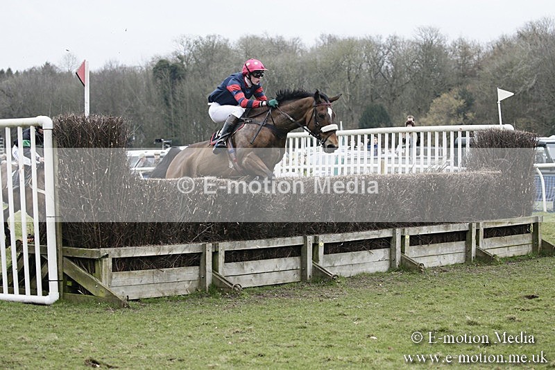 PtP 110318 363 - Hampshire Hunt Point-to-Point Hackwood Park 11/03/18