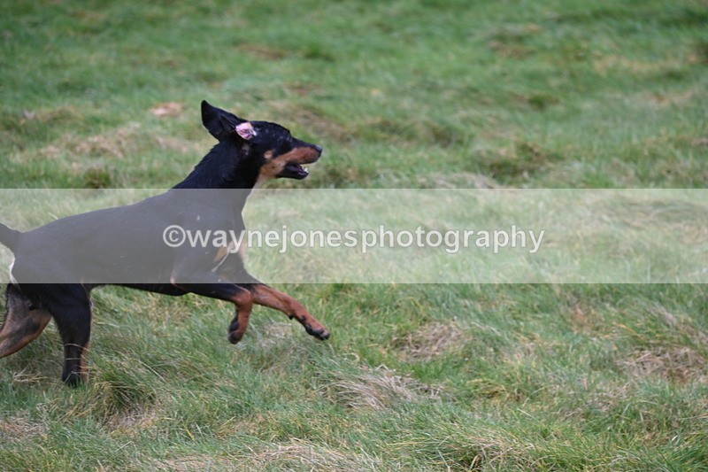 WJ6_8750 - Cam B