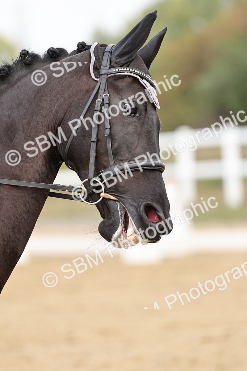 SBM_018281 - Class 16 - Novice 5 - 11.12-12.01