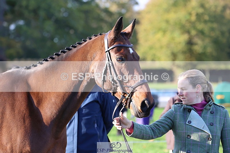 251026A-094958-22516 - D-312-Laura.Sharpe