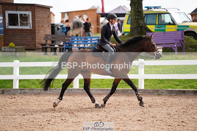 240804A-104806-10316 - Cls 49 85cm Amateur Qualifier