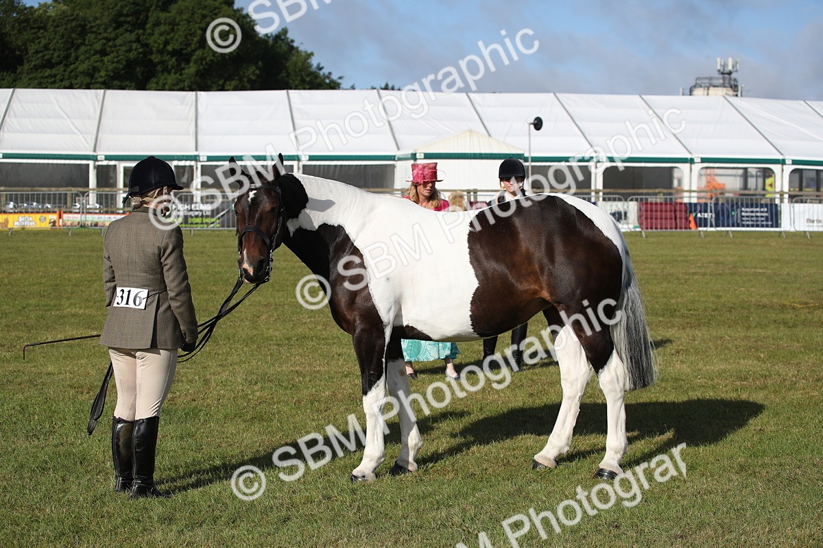 SBM_11119 - Class 92-93 - LIHS BSHA Rising Star Cobs