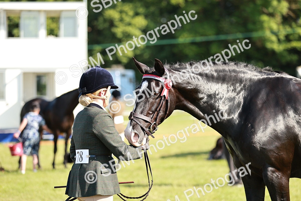 SBM_19268 - Class 115-116 - LIHS BSHA Rising Star Working Hunter & Show Horse