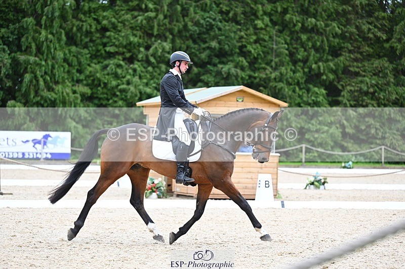 240524-175905-11540 - 162-HAZZLE_DAZZLE-Henry_Hobby