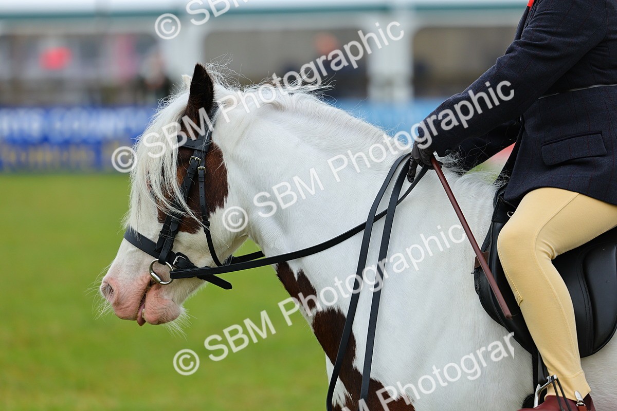 SBM_00969 - Class 1-4 - BSPA Ridden