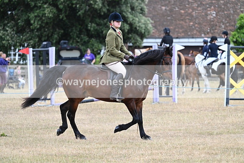 WJ7_0602 - Class 6 Ridden Mountain and Moorland
