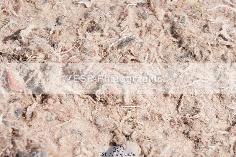 250503-124420-01120 - Cls 25 Club 1m