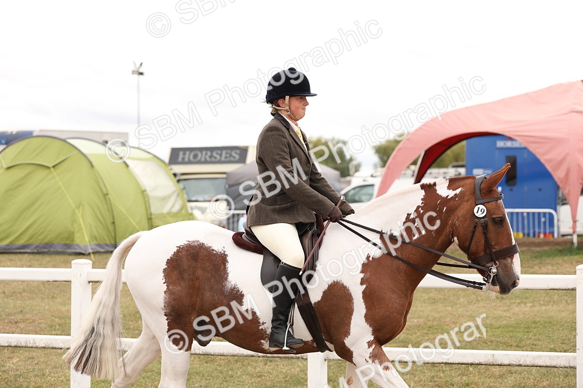 SBM_19476 - Class 215 - Ridden Show cob