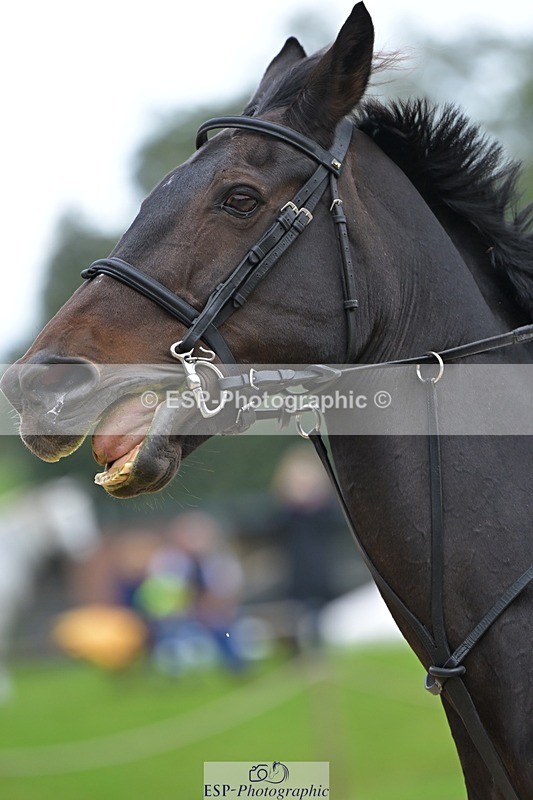 240929-131509-00904 - Cls 2 80-85cm 12.15 to End