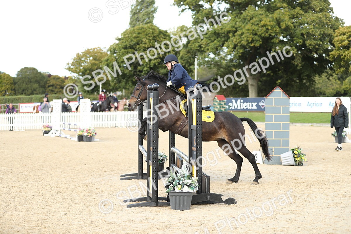 SBM_09958 - J36 - Veteran Rider 70cm