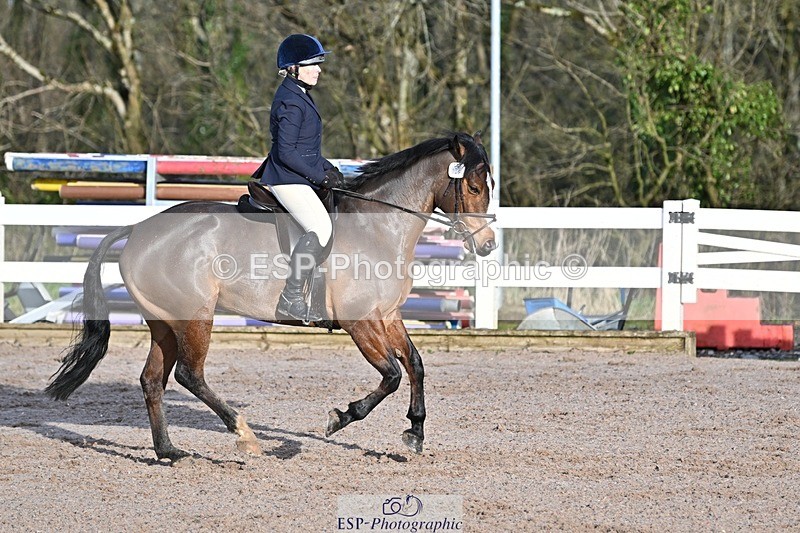 250125-100802-00122 - Dressage - CT Class 4 BE95 (80cm)