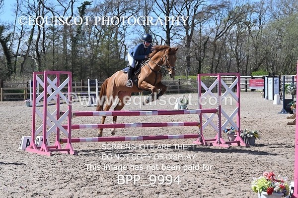 BPP_9994 - CLASS 19 SUN Senior British Novice/ 90cm Open