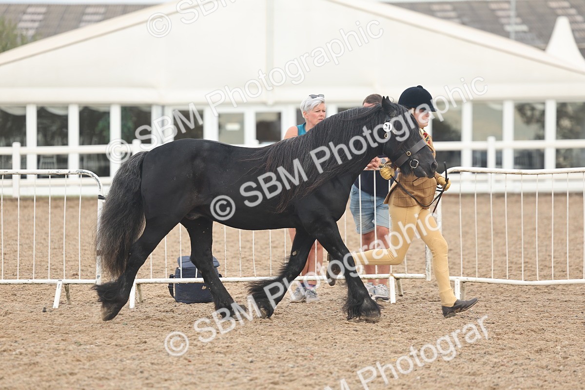 SBM_08429 - Class 29 - IH Veteran Pony