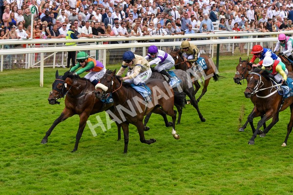 170623-Race 4-Quinault-7095 - Race 4 3.40pm Oakmere Homes Supporting Macmillan Sprint Handicap