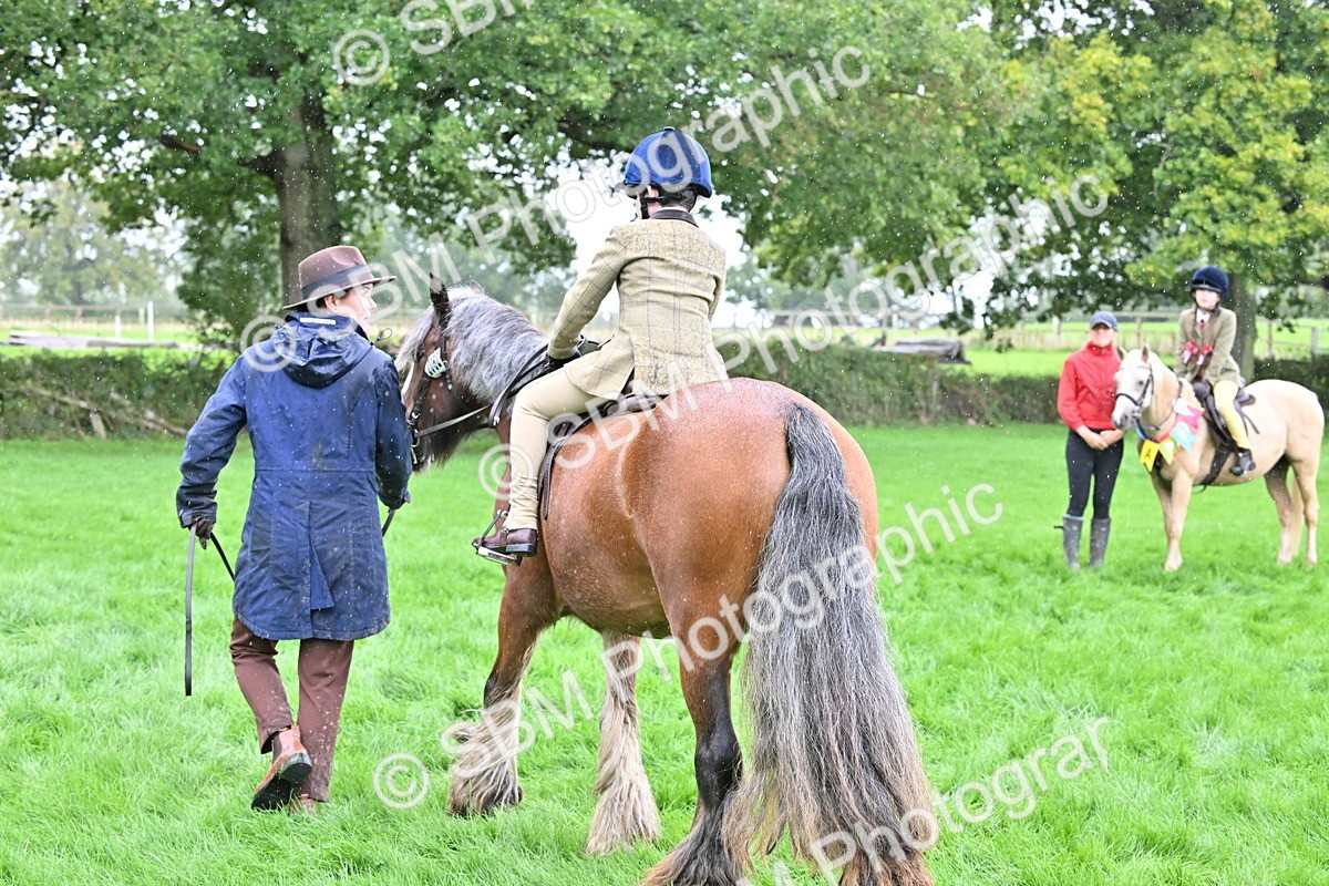 SBM_43032 - S12 - Family Horse & Pony