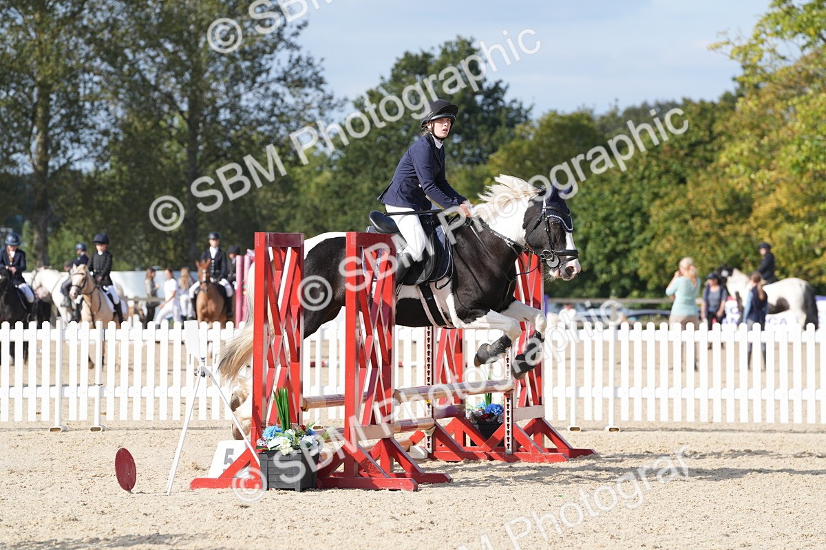 SBM_48753 - J22 - Junior Horse 65cm Championship