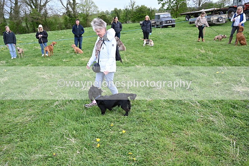 WJ6_8153 - Class 2 Best Pedigree