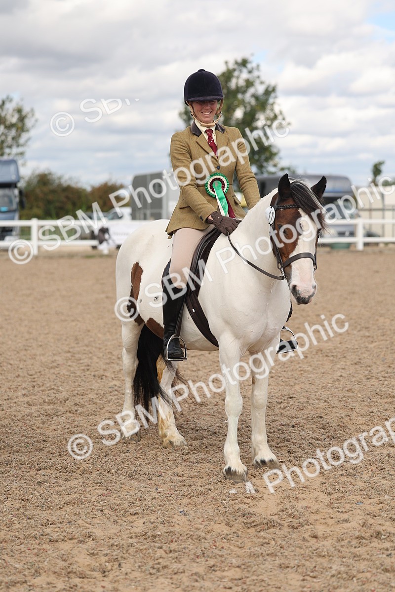 SBM_14700 - Class 307 - Ridden Coloured Pony