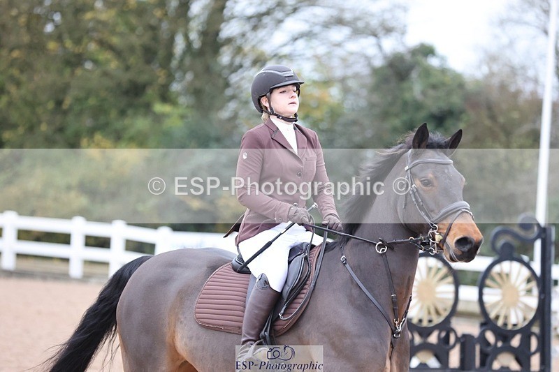 241116X-140631-02391 - Cls 14 A&B Pony Fox & 1.10m Open