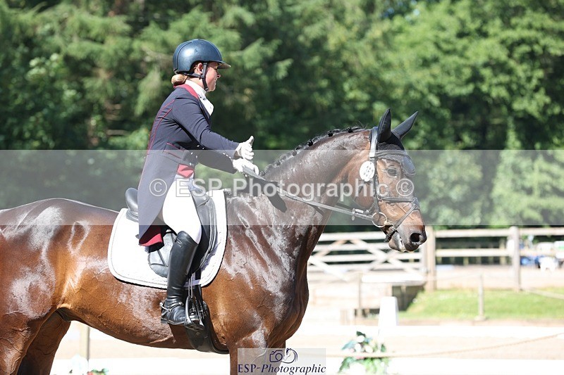 230526-094508-05159 - 357-VIVENDI_HERO-Saffron_Cresswell-WEDTrotUp+DR