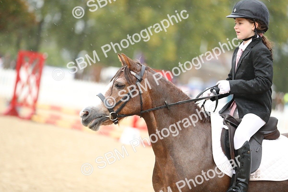 SBM_34377 - J60 Clear Round 50cm