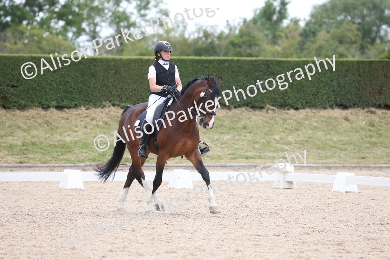 20250604-1087 - Class 7 - Medium 5