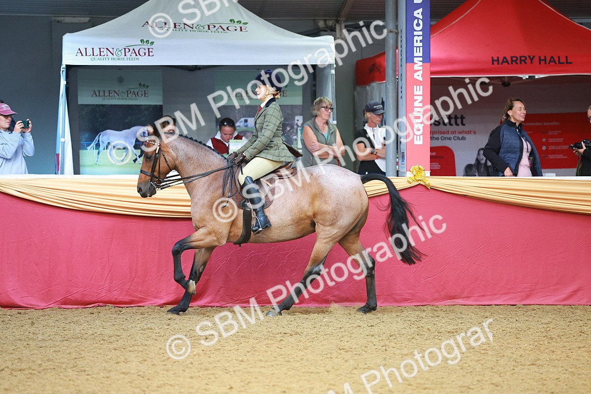 SBM_09529