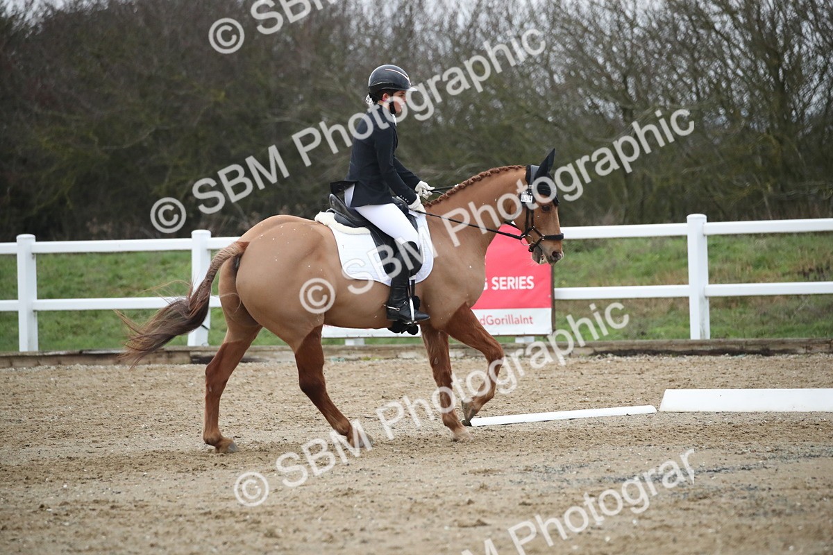 SBM_004779 - Novice 3