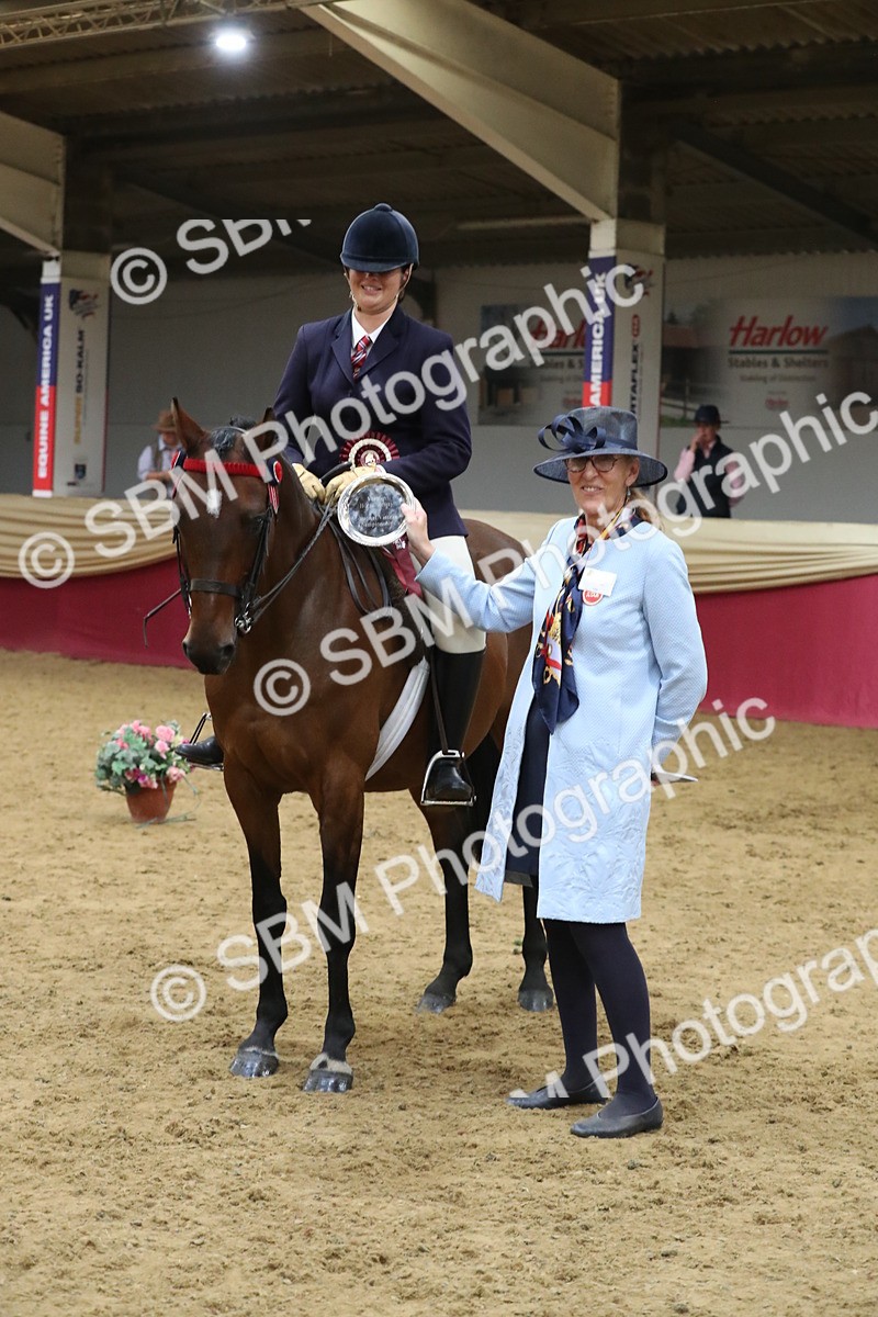 SBM_08461 - Class 11R Regional Ridden Veteran