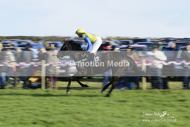 PtP 300122 190 - South Dorset Hunt - Point-to-Point Races 30/01/2022