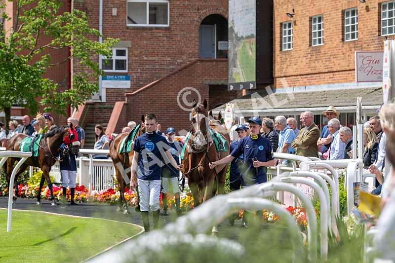 260724-Graham Lee Stable Staff Stakes-3167 - Graham Lee Stable Staff Stakes