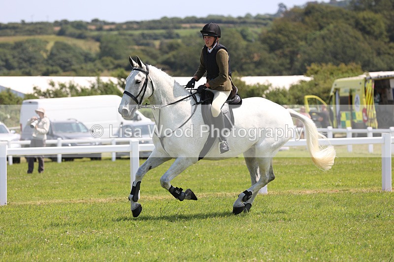 JPP_3172 - Class 22: Working Hunter 70cm