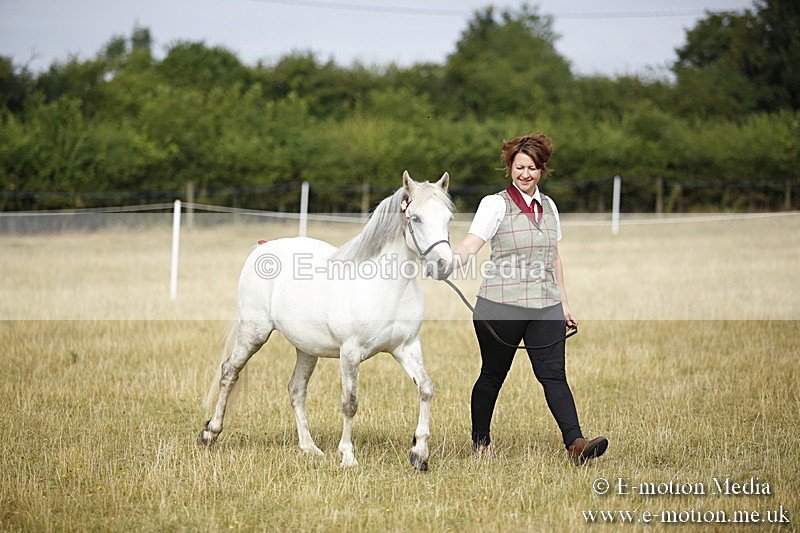 _C7A9183 - BVRC Sow 2018 Ring 2