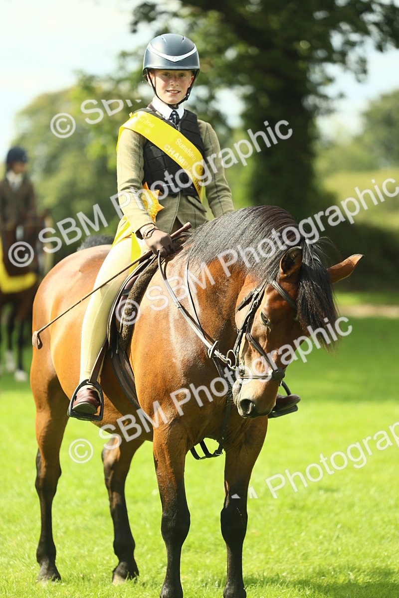 SBM_44959 - Working Hunter Pony Supreme Championship