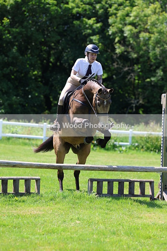 3E7A6925 - Class 30: Novice Working Hunter