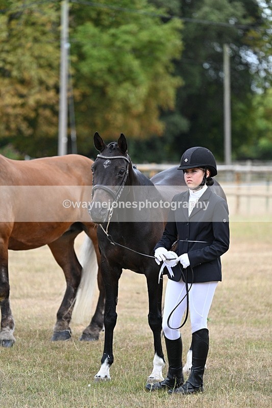 WJ7_9285 - Class 4a Prettiest Mare 14.2hh and over