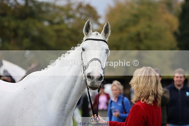 251026A-103637-23138 - G-572-Laura.Pitman With Trot Up