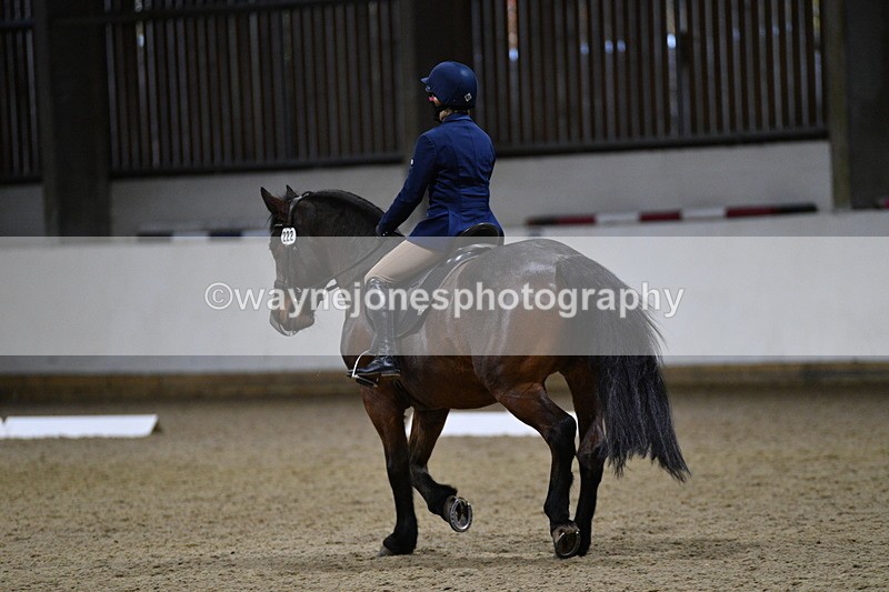 WJ5_8491 - Class 5 Novice Test 3