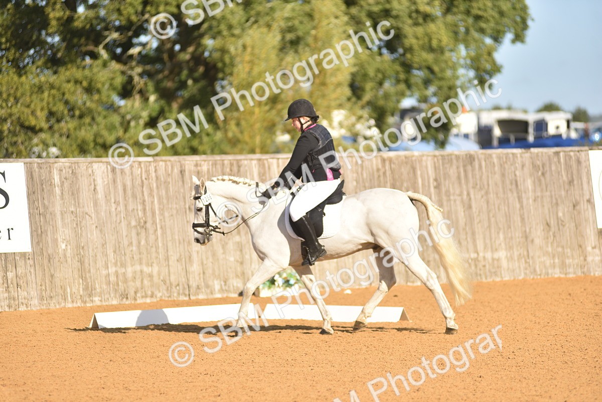 SBM_15743 - D4 - Small Tour Championship Intro 4